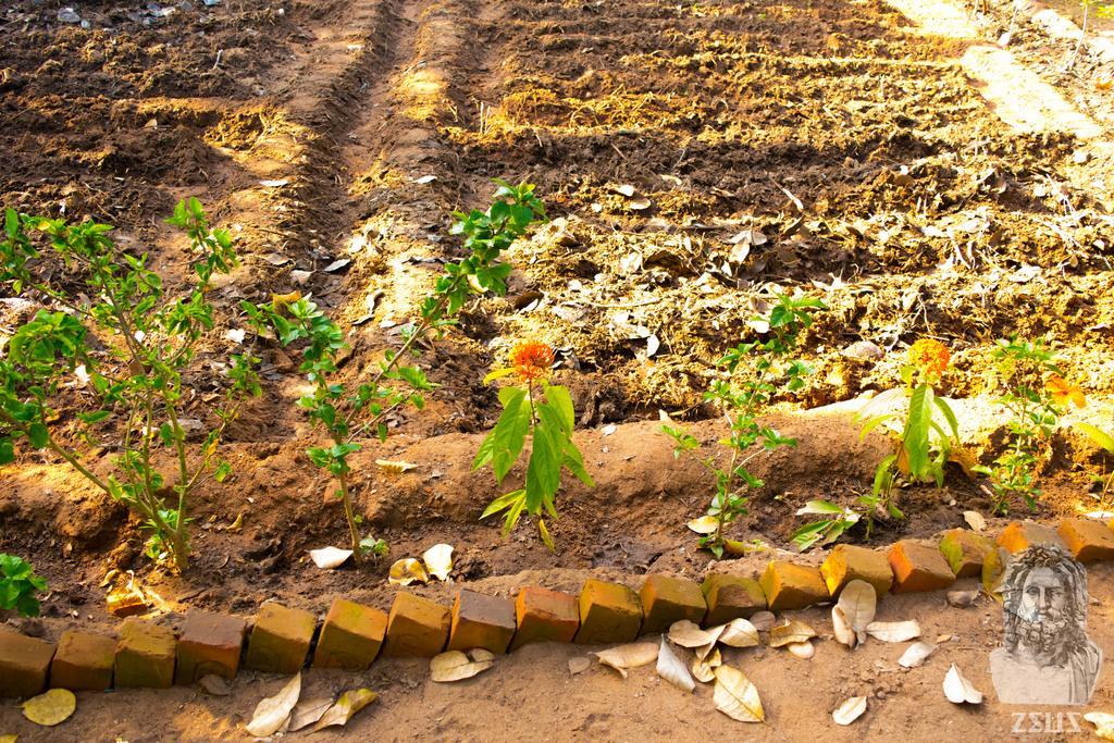 Eden Of Zen Hotel Auroville Exterior photo